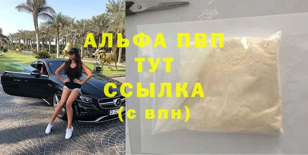 ГАЛЛЮЦИНОГЕННЫЕ ГРИБЫ Инсар