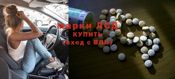 ГАЛЛЮЦИНОГЕННЫЕ ГРИБЫ Инсар