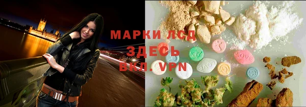 ГАЛЛЮЦИНОГЕННЫЕ ГРИБЫ Инсар