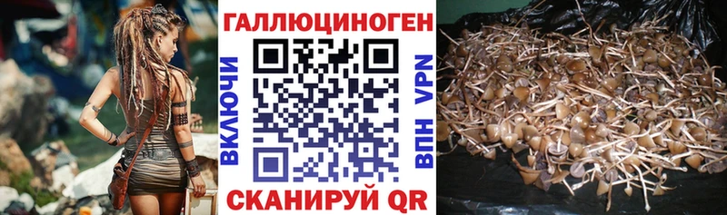 Купить закладки  Задонск  Галлюциногенные грибы MAGIC MUSHROOMS 